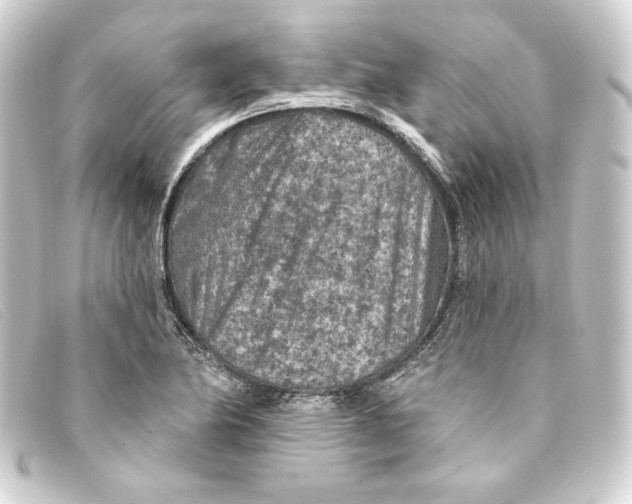 X0000093171174200710241034