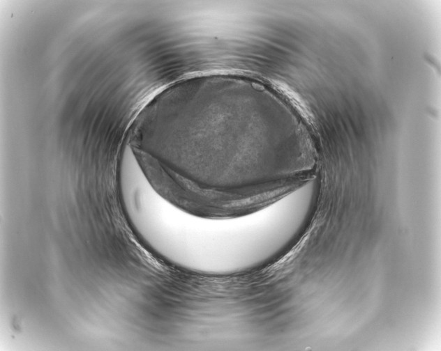 X0000093171177200710241034