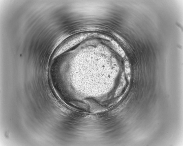 X0000093171178200710241034