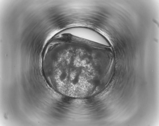 X0000093171179200710241034