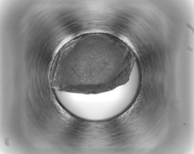 X0000093171181200710241034