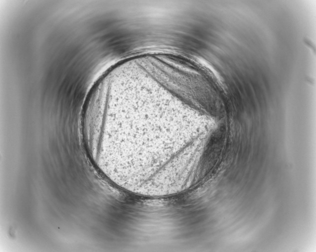 X0000093171182200710241034