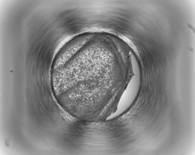 X0000093171183200710241034