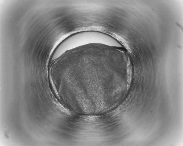 X0000093171184200710241034