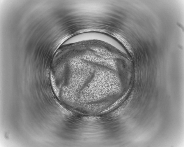 X0000093171185200710241034