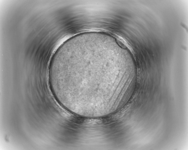 X0000093171187200710241034