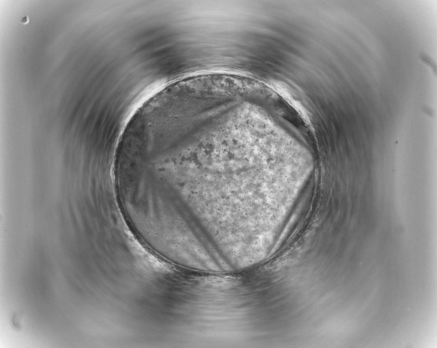 X0000093171189200710241034