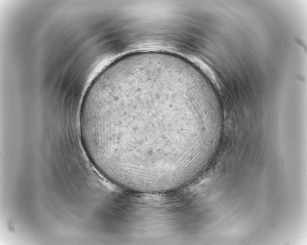 X0000093171191200710241034