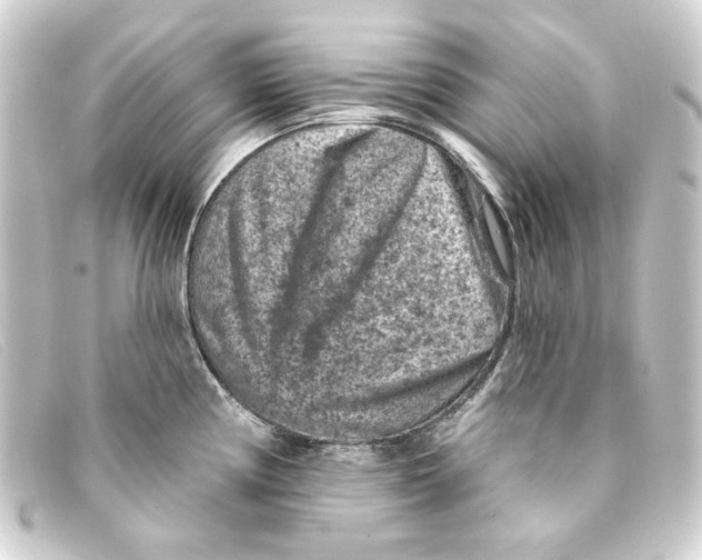 X0000093171194200710241034