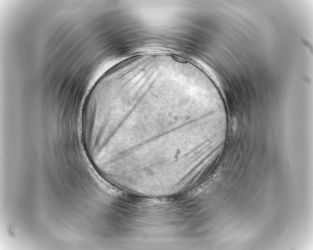 X0000093171195200710241034