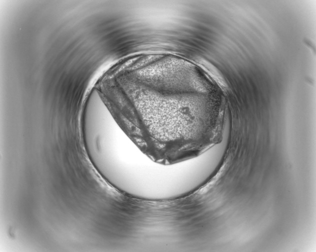 X0000093171196200710241034