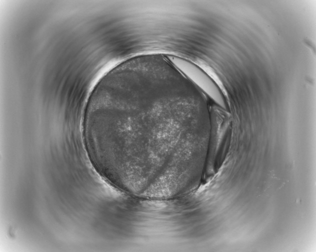 X0000093171197200710241033