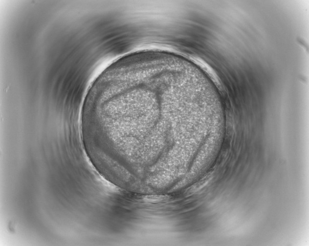 X0000093171199200710241033