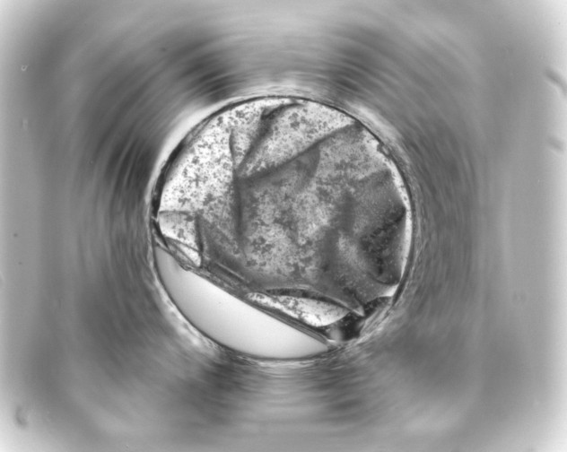 X0000093171200200710241033