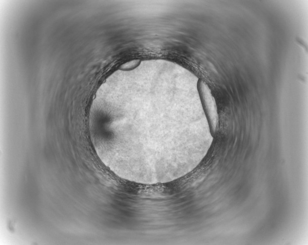 X0000093171201200710241033