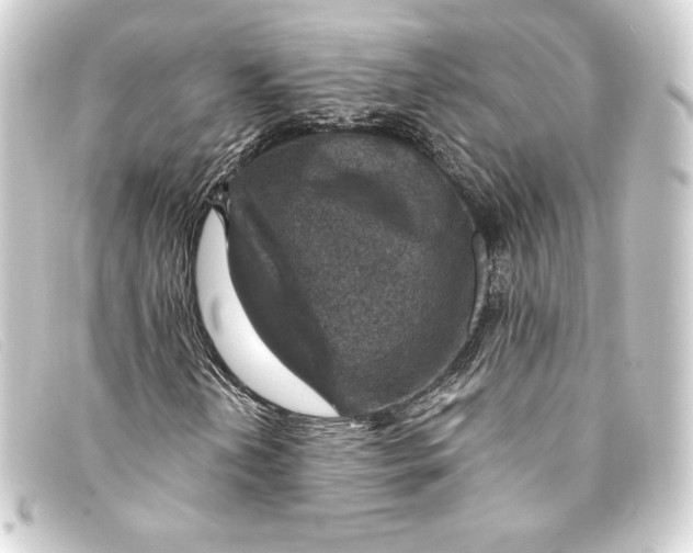 X0000093171202200710241033