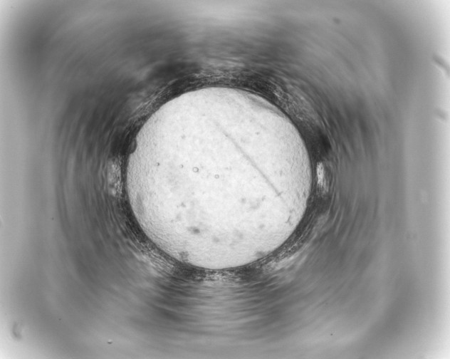 X0000093171203200710241033