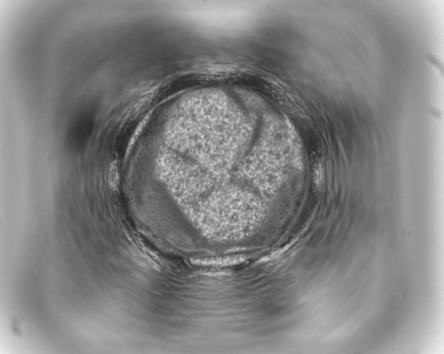 X0000093171204200710241033