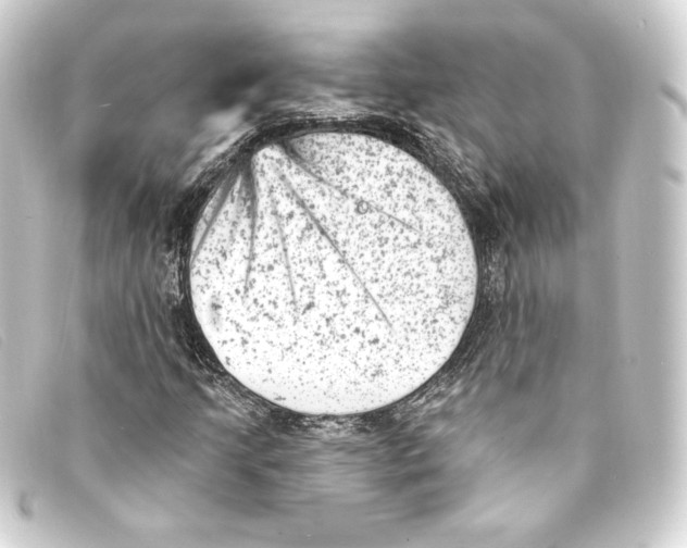 X0000093171205200710241033