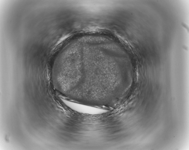 X0000093171206200710241033