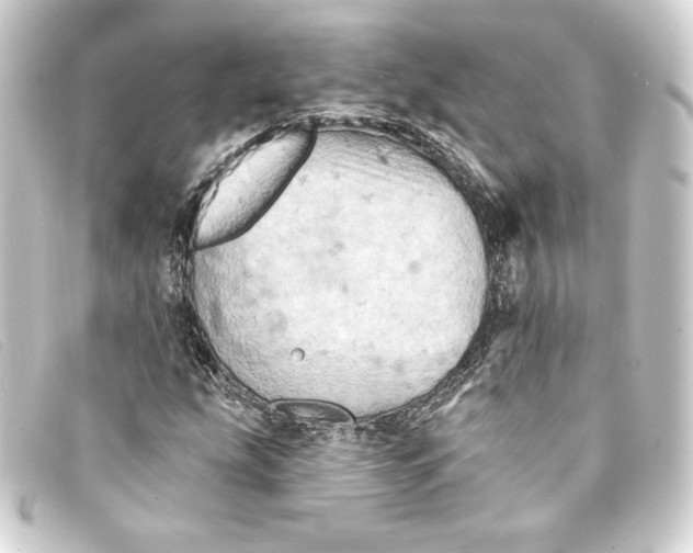 X0000093171207200710241033