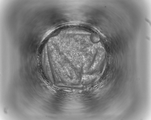 X0000093171208200710241033