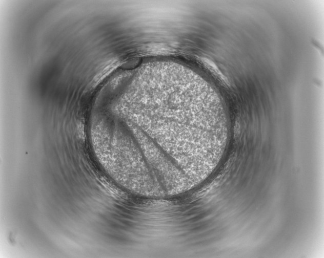 X0000093171209200710241033