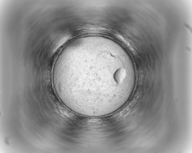 X0000093171211200710241033