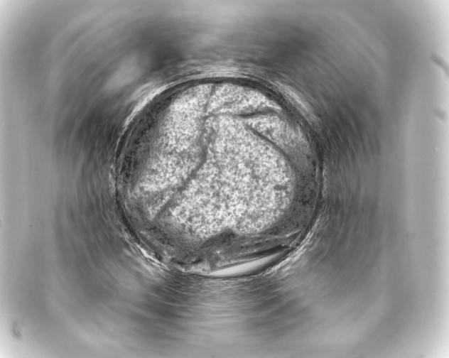 X0000093171212200710241033