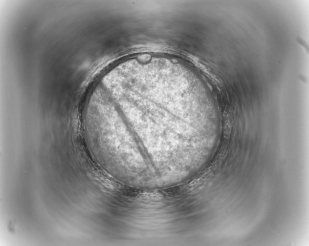 X0000093171215200710241033