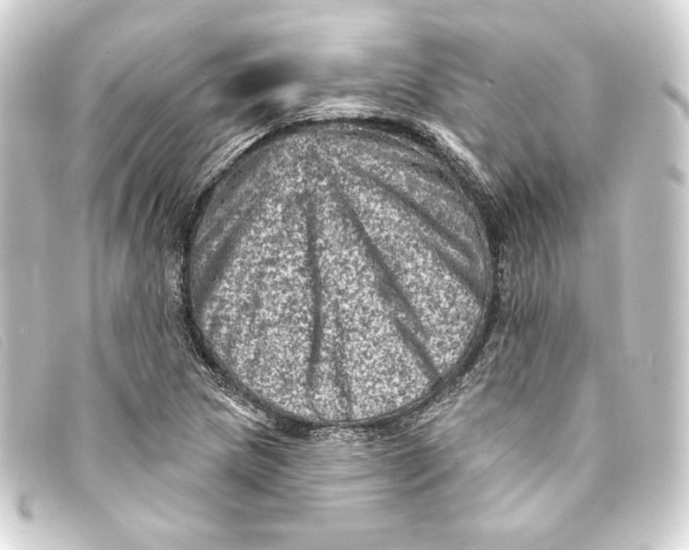 X0000093171217200710241033