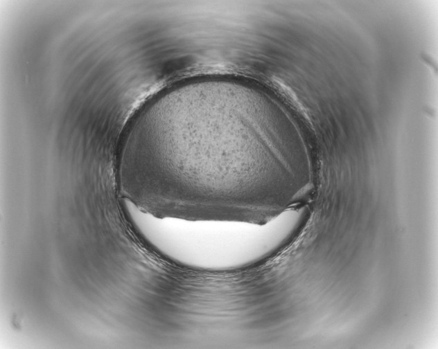 X0000093171218200710241033