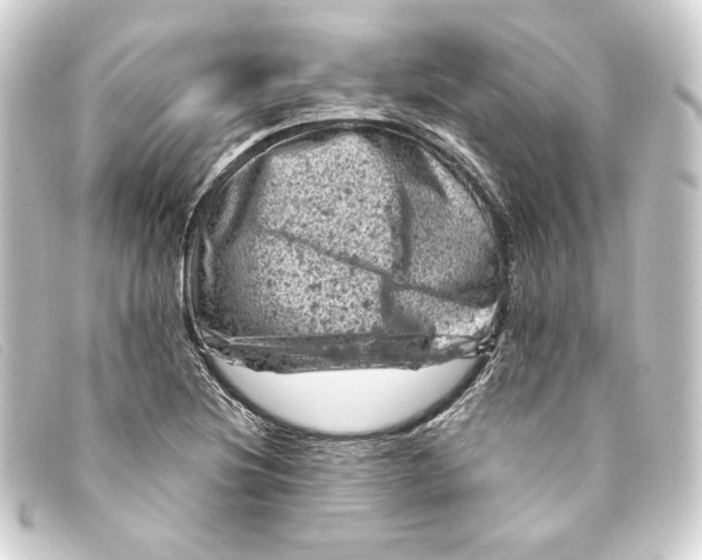 X0000093171220200710241033