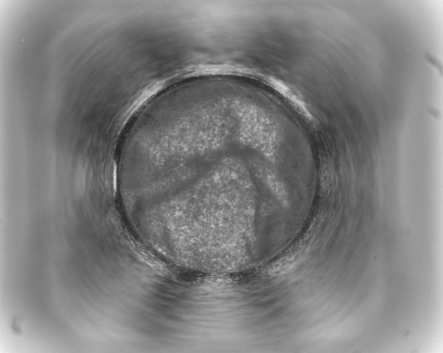 X0000093171221200710241033