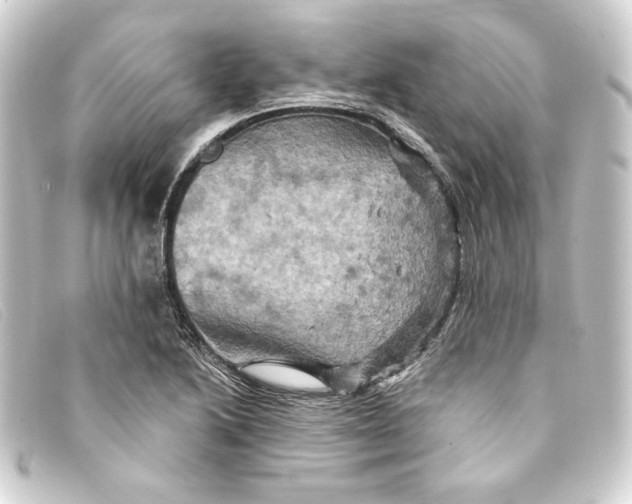 X0000093171222200710241033