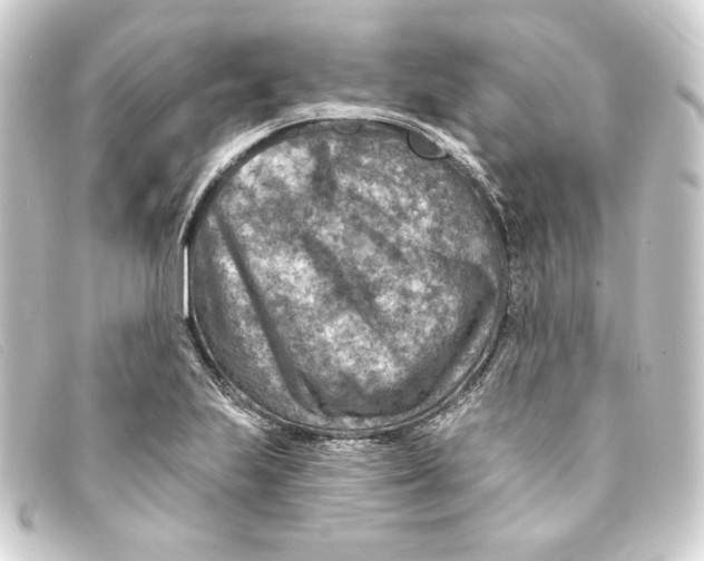 X0000093171223200710241033