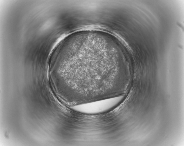 X0000093171224200710241033