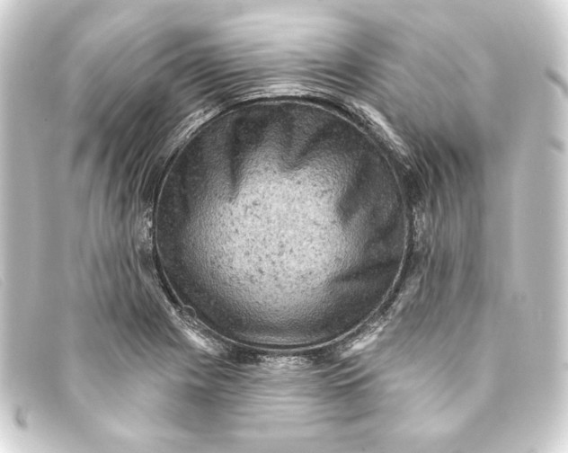 X0000093171225200710241033