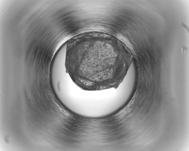 X0000093171226200710241033