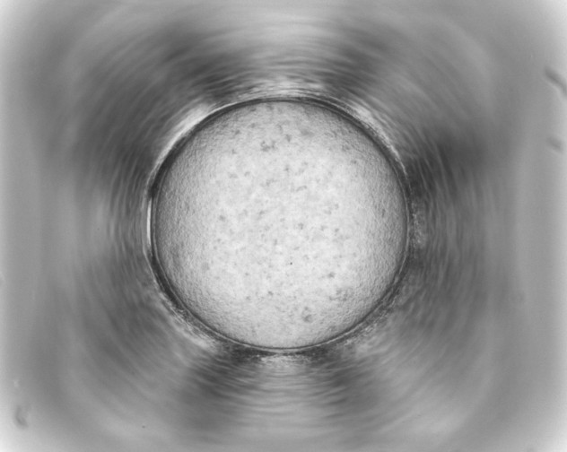 X0000093171227200710241033