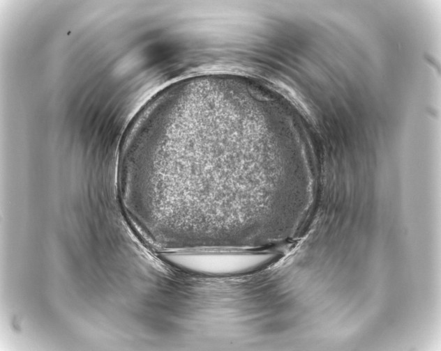 X0000093171228200710241033