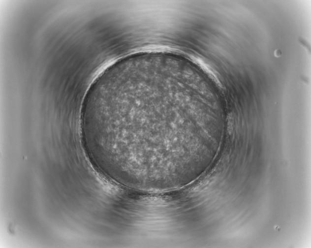 X0000093171229200710241033