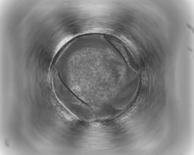 X0000093171230200710241033