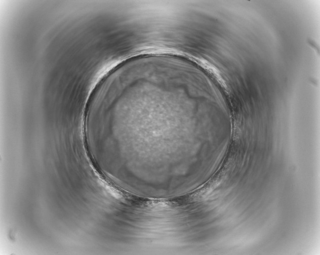 X0000093171231200710241033