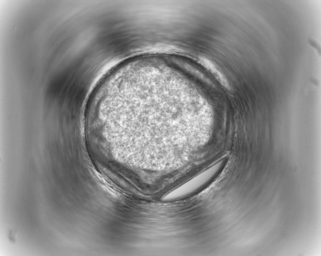 X0000093171232200710241033