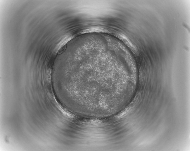 X0000093171233200710241033