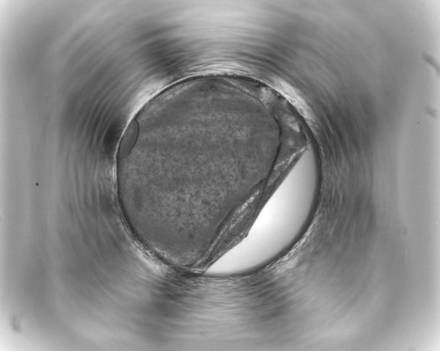 X0000093171234200710241033