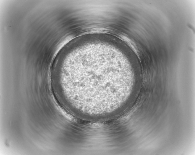 X0000093171235200710241033