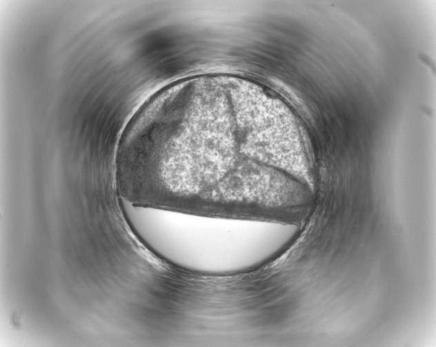 X0000093171236200710241033