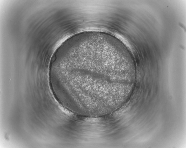 X0000093171237200710241033